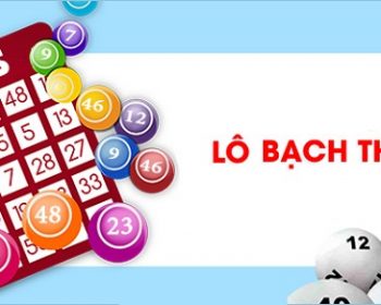 Soi câu lô bạch thủ