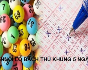 nuôi lô bạch thủ khung 5 ngày